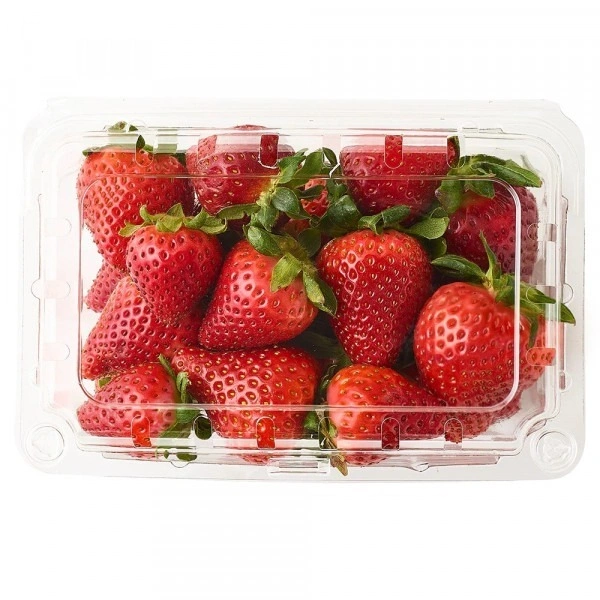 Strawberry Africa|الفراولة أفريقيا - 250g, Pkt