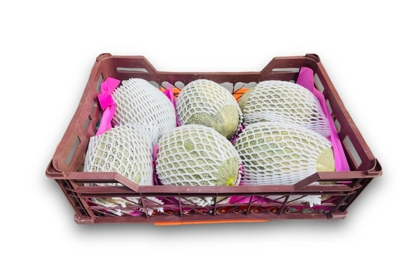 Rock melon|شمام روك - 10Kg-13Kg, Box, 🇮🇷Iran
