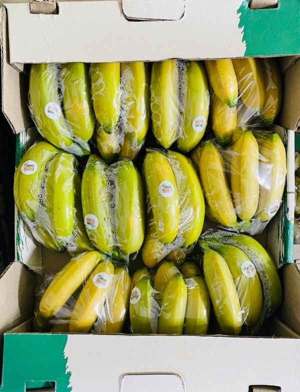 Baby Banana Colombia|طفل الموز كولومبيا - Box=3Kg, Box