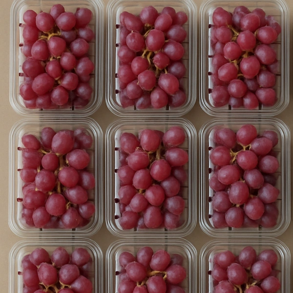 Grapes Red PP|العنب أحمر - Box=10Pkt, Box