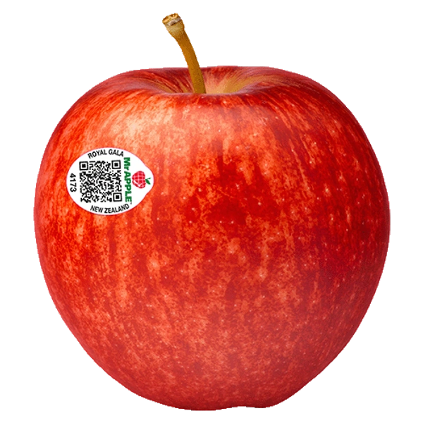 Apple Royal Gala NZ|تفاح رويال جالا نيوزيلندا - 500g