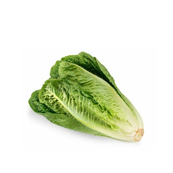 Roman Lettuce|الخس الروماني - 500g