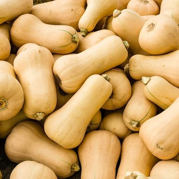 Butternut Pumpkin|قرع الجوز - Box=6Kg, Box