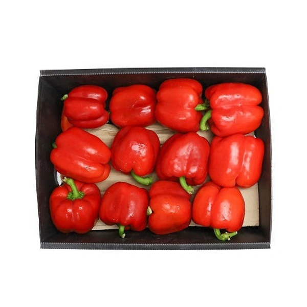 Capsicum Red|الفليفلة الحمراء - Box=4Kg, Box