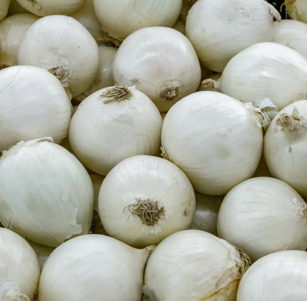Onion White|البصل الأبيض - Bag=10Kg, Bag