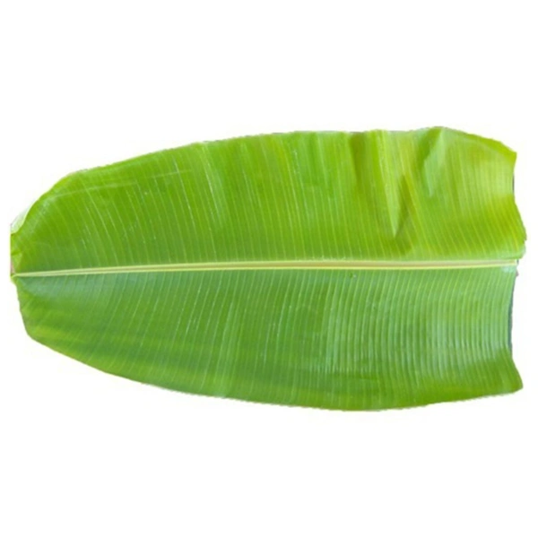 Banana leaf|ورقة الموز - 1Pc
