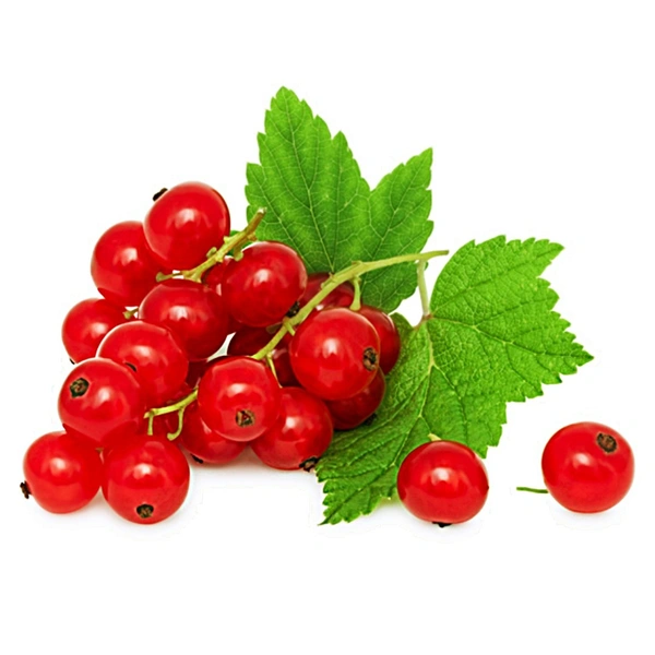 Red Currants|الكشمش الأحمر - Pkt