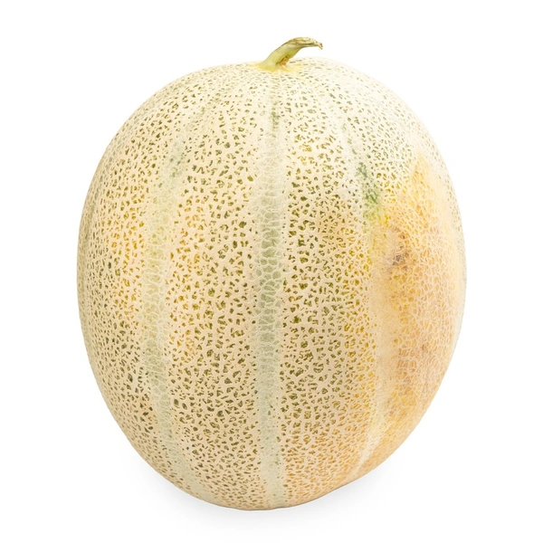 Rock melon|شمام روك - 2Kg-2.5Kg, Pc, 🇮🇷Iran
