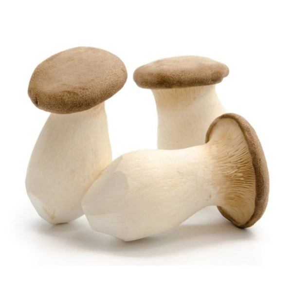 King Oyster Mushrooms|فطر المحار الملكي - Pkt