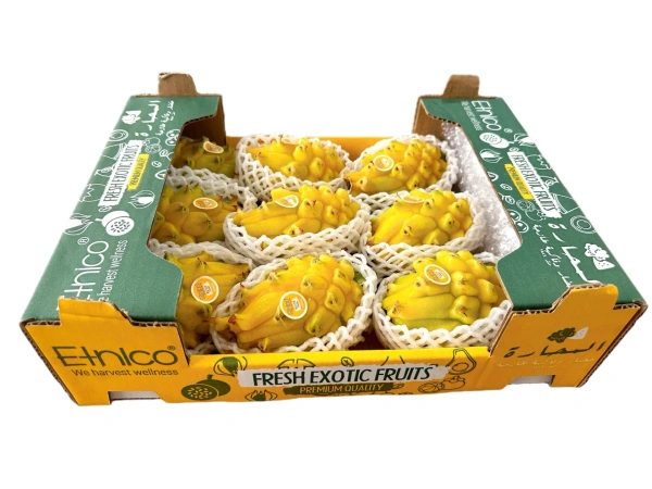 Pithaya|بيثايا - Box=2.5Kg, Box, 🇨🇴Colombia