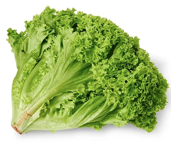 Lolo Bionda Lettuce|خس لولو بيوندا - 200g, Pkt