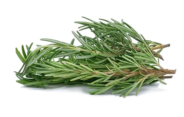 Rosemary leaves|الروزماري - Pkt