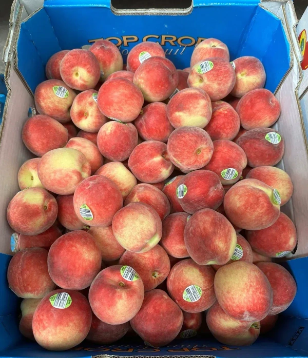 Peaches Aus|الخوخ أستراليا - Box=10Kg, Box, 🇦🇺Australia