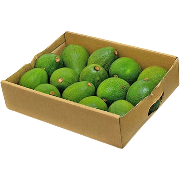 Shamsi Avocado Kenya|الأفوكادو كينيا - Box=4Kg, Box