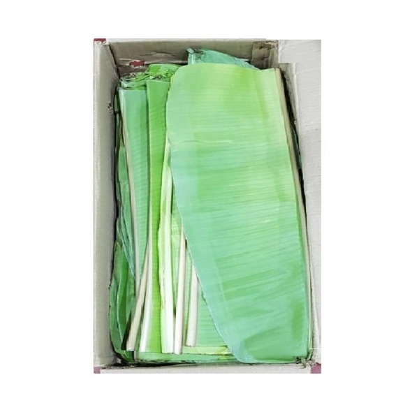 Banana leaf|ورقة الموز - Box=50Pcs, 1Box