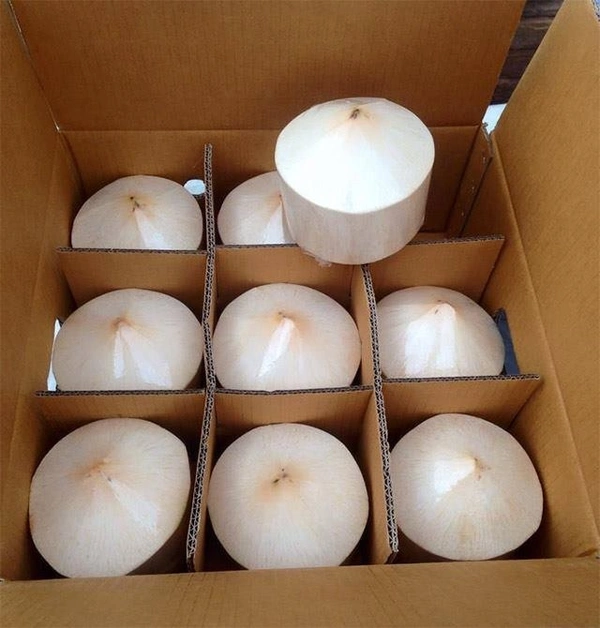 Tender Coconut Thailand|جوز الهند الطري تايلاند - Box=9Pc, Box, 🇹🇭Thailand
