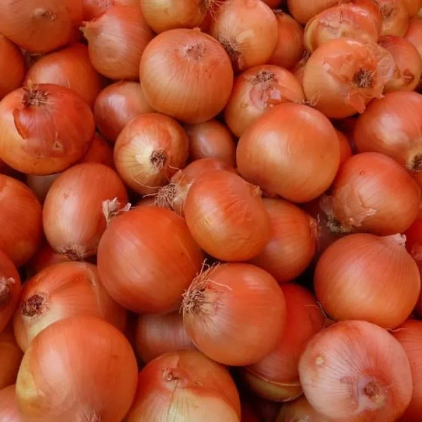 Onion Brown|البصل البني - Bag=20Kg, Bag