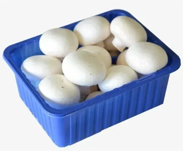 Button mushroom|فطر أبيض - 250g, Pkt