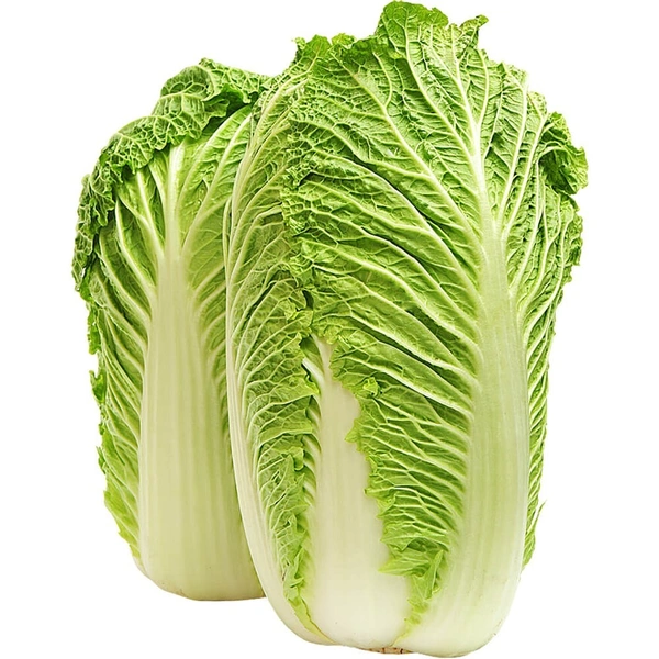 Chinese Cabbages |الملفوف الصيني  - 800g-1kg, 1pc