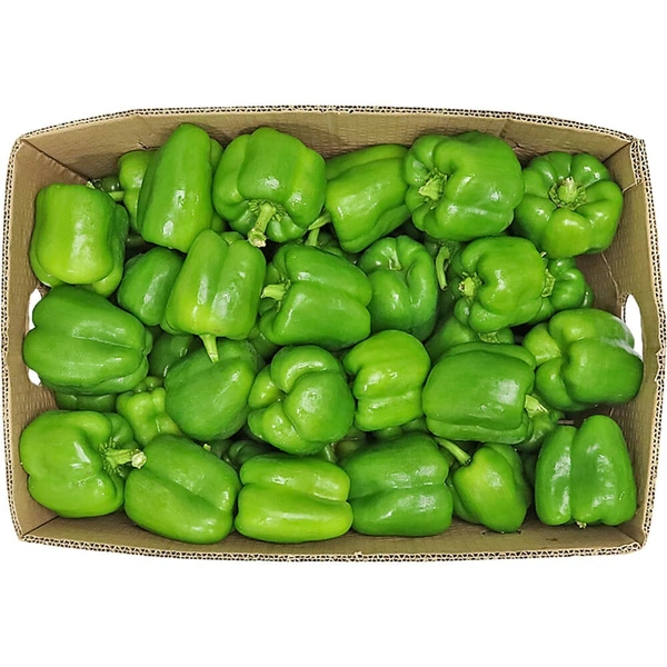 Green Capsicum|فليفلة خضراء - Box=6Kg, Box