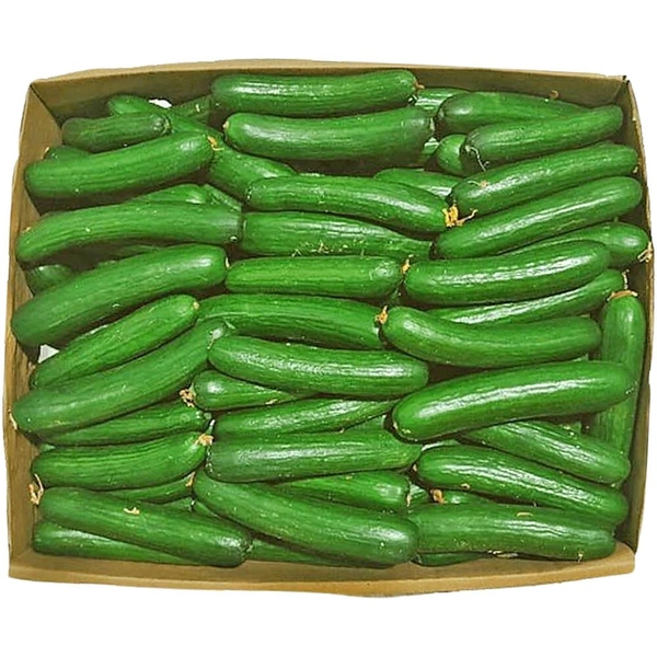 Cucumber |خيار - Box=15Kg, 1Box