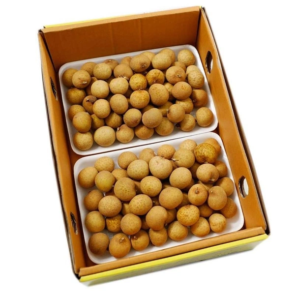 Longon|لونجون - Box=2Pkt, Box
