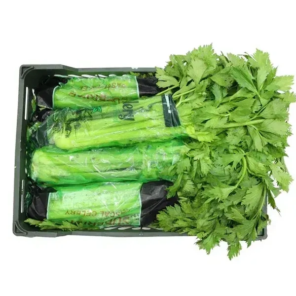 Celery|كرفس - Box=6Kg, Box