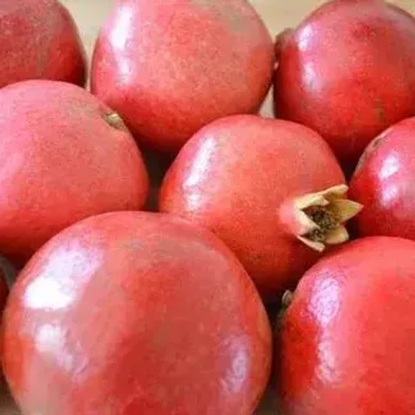 Pomegranates Peru|رمان بيرو - Box=13Kg, Box