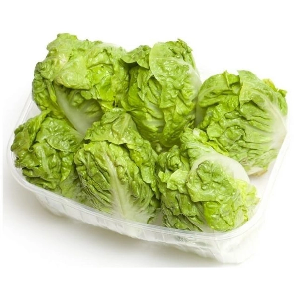 Gem Lettuce|خس جيم - Pkt