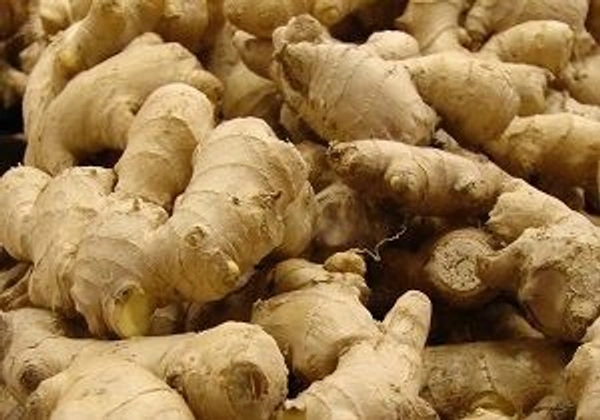 Ginger India|الزنجبيل الهند - Bag=3.5Kg, 1Bag