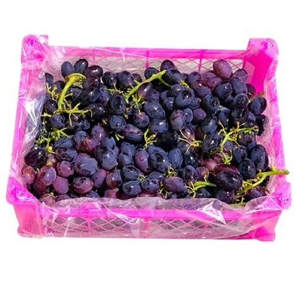 Grapes Black|العنب الأسود - Box=2.5Kg, Box, 🇪🇬Egypt