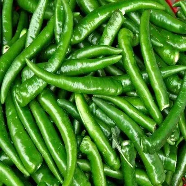 Long Chilies Green|فلفل حار طويل أخضر - Box=3Kg, Box