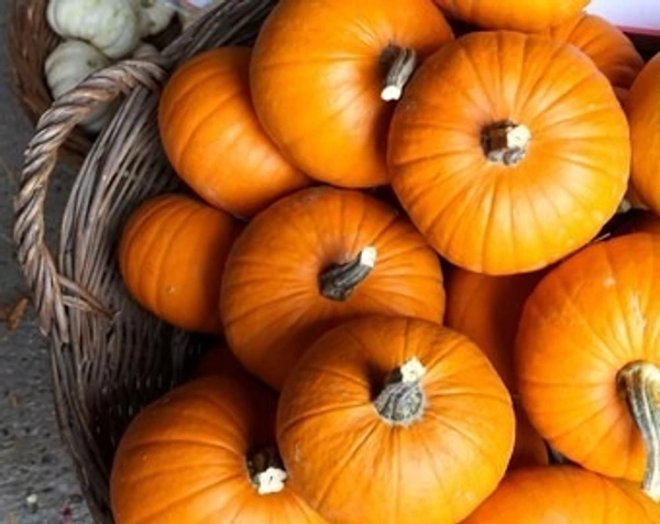 Pumpkin India|اليقطين الهند - Bag=6Kg, 1Bag