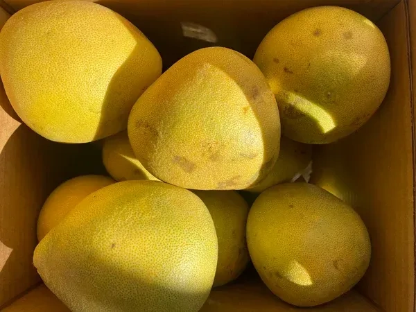 Pomelo White|بوميلو  أبيض - Box=6Pc, Box