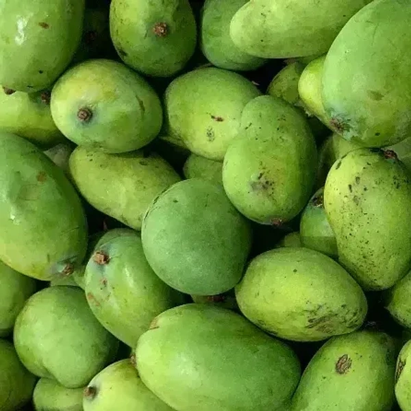 Green Mango|المانجو الخضراء - Bag=3.3Kg, 1Bag