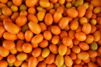 Kumquats|كمكوات - Box=2Kg, Box