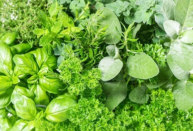 Herbs & Lettuce|الأعشاب والخس