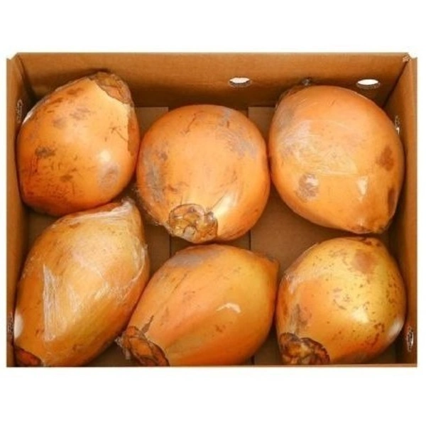 Tender Coconut Srilanka|جوز الهند الطري السريلانكي - Box=6Pc, Box, 🇱🇰Sri Lanka