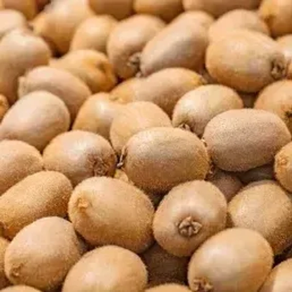 Kiwi Green|الكيوي الأخضر إيران - Box=10Kg, Box, Iran