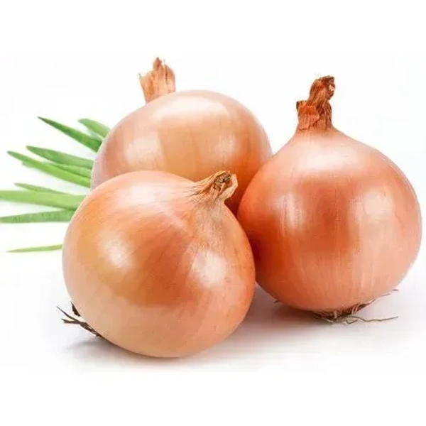 Onion Brown|البصل البني - 500g
