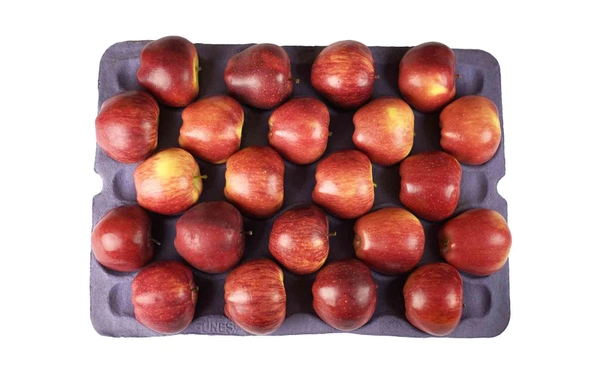Apple Royal Gala NZ|تفاح رويال جالا نيوزيلندا - Tray