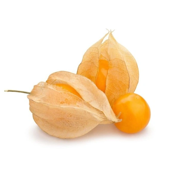 Physalis With Leaves|حرنكش - Pkt
