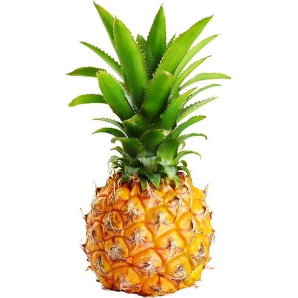 Baby Pineapples|أناناس صغير - 300g-500g, Pc, 🇿🇦Africa