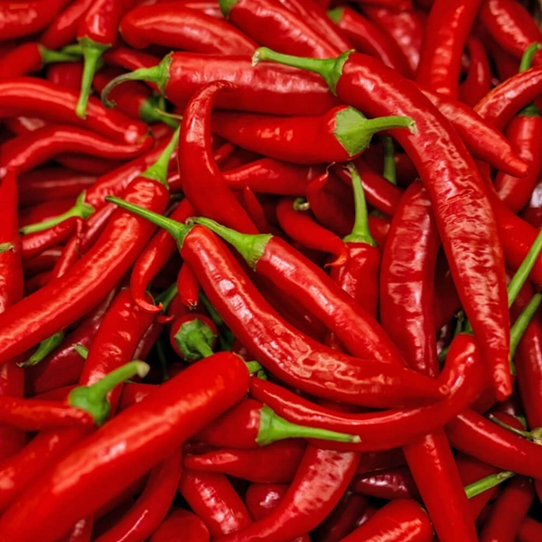 Long Chilli Red|فلفل أحمر طويل - Box=5Kg, Box