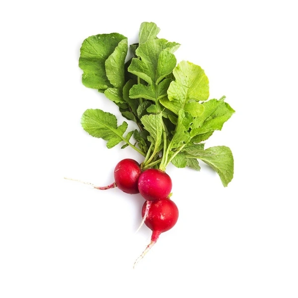 Red Radish|الفجل الأحمر - 500g