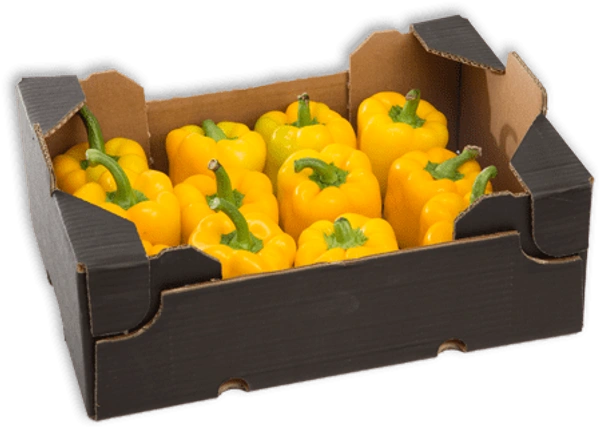 Capsicum Yellow|فليفلة صفراء - Box=4Kg, Box