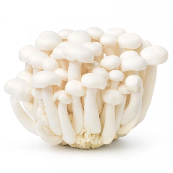 Shemiji Mushroom White|فطر شيميجي الأبيض - Pkt