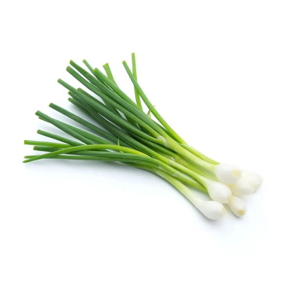 Spring Onion|بصل أخضر - 500g