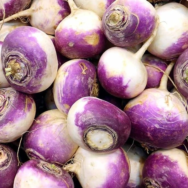 Turnip|اللفت - Bag=3Kg, Bag
