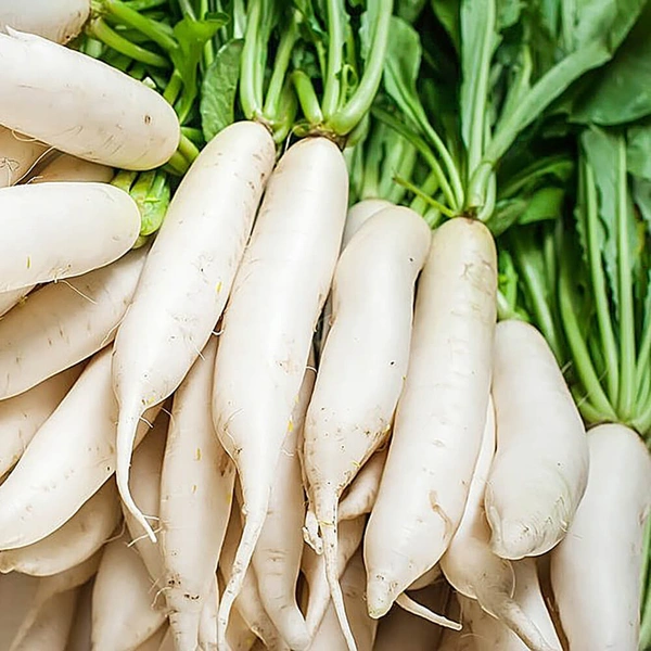 White Radish|الفجل الأبيض - Box=7Kg, Box